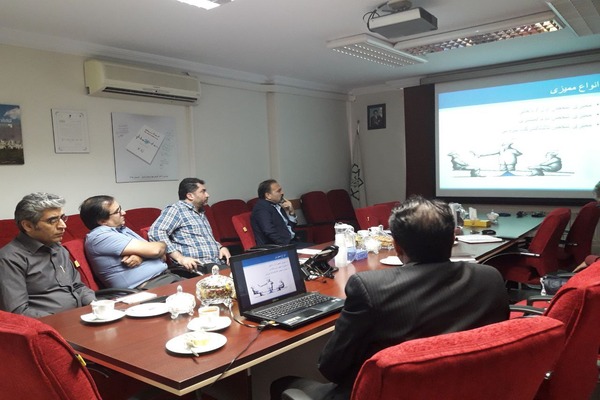 پروژه استقرار HSE