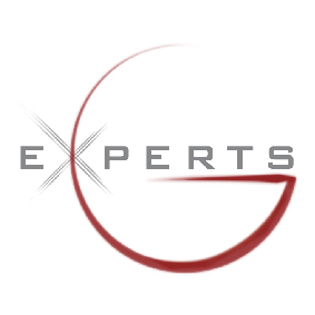 Experts-group